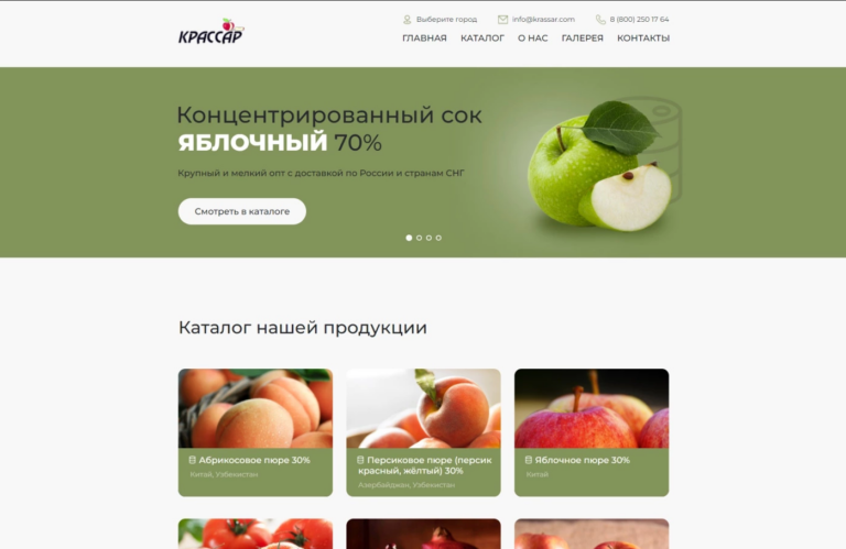Продающий лендинг подключ